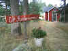 kardemumma4.JPG (167755 bytes)
